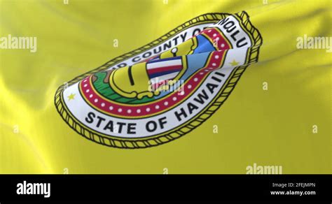 Honolulu city flag Stock Videos & Footage - HD and 4K Video Clips - Alamy