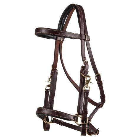 Billy Royal® Deluxe Trail Halter Bridle Combo Schneiders