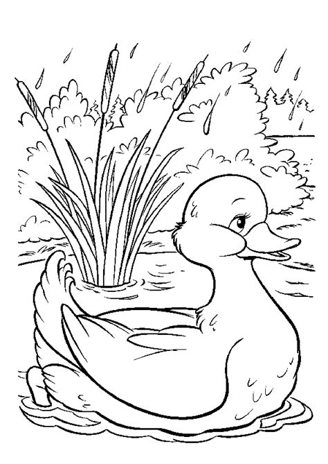 Page 21 Sur 48 Sur HugoLescargot Coloriage Coloriage Lapin