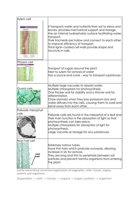 BIO prelim notes | Biology - Year 11 HSC | Thinkswap