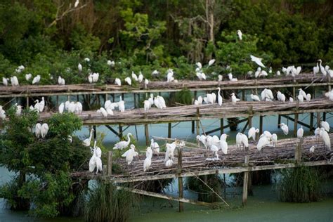 15 Most Beautiful Places In Louisiana According To Locals