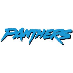 Carolina Panthers Wordmark Logo | SPORTS LOGO HISTORY