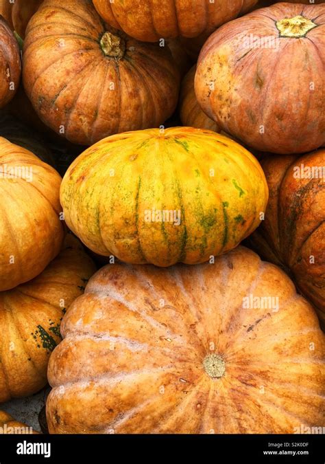 Calabaza squash hi-res stock photography and images - Alamy