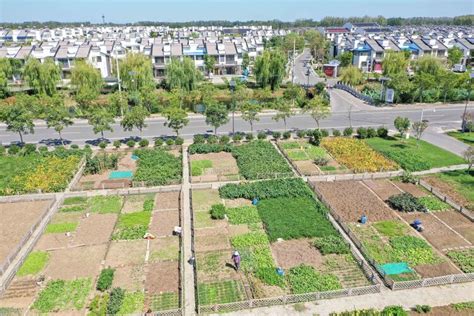 治出一片新天地 增强村民获得感 江苏金湖空间治理“钱”景无限