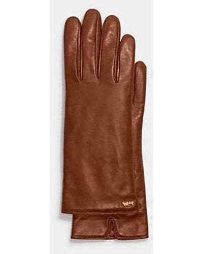 Brown COACH Gloves for Women | Lyst