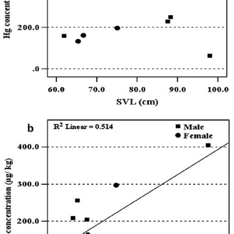 Hg Concentration In Muscle Lg Kg And Svl Cm Of C C Crocodilus A Download Scientific