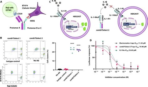 Calcein Am Thermo Fisher Bioz