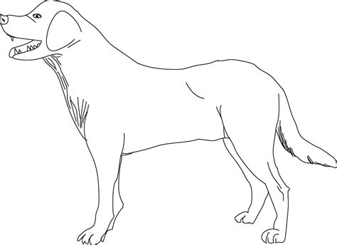 Hand drawn dog outline illustration 29155504 Vector Art at Vecteezy