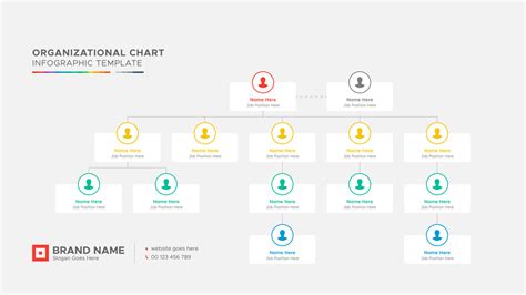 Organizational Chart Tree Diagram Dendrogram Business Infographic