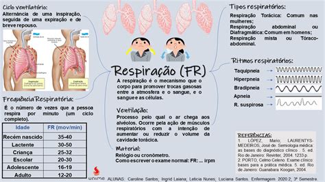 Termos Tecnicos Para Respira O