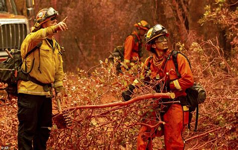 Woman Is Arrested On Suspicion Of Starting California Wildfire As Blaze