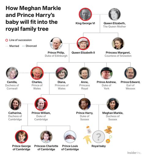 Meghan Markle pregnant: How royal baby will fit into family tree ...