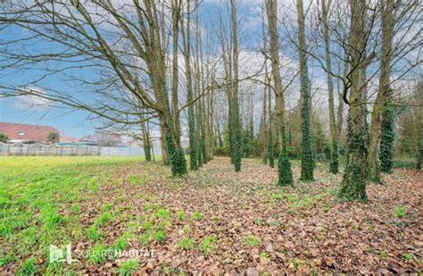 Terrain A Batir Square Habitat Nord De France