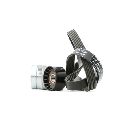 117507271R Tensioner pulley, Tensioner lever, V-Ribbed belt, Belt ...