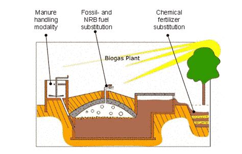 Domestic Biogas Plant Construction Complete Guide 1st Part Ielts Pdf