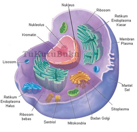 Biologi Sel - Riset