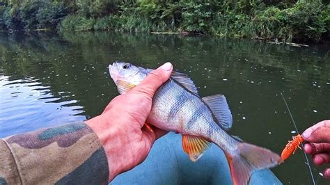 И такие рыбалки бывают... Рыбалка на спиннинг 2022. - YouTube