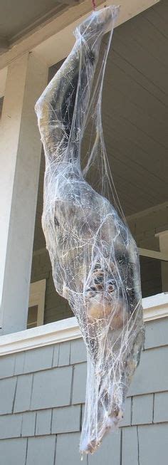 Spider Cocooned