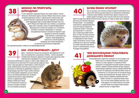 Чем кормить ежика в домашних условиях, полный список продуктов