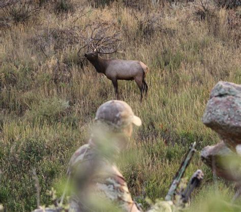 Wyoming Elk Hunting | The Cross C Ranch | Wyoming Outfitter, Wyoming ...