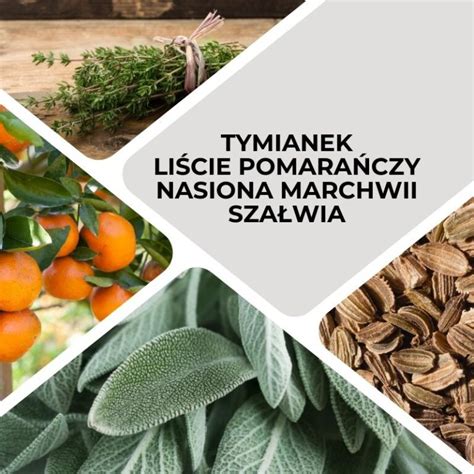 Olejek Eteryczny Ziołowa Dusza 100 naturalny Tyma Herbs