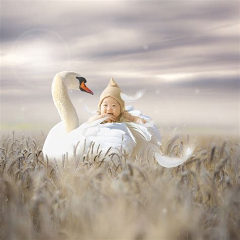 Download Baby, Swan, Background. Royalty-Free Stock Illustration Image ...