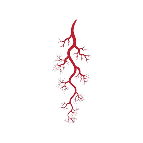 Human veins and arteries illustration 13636648 Vector Art at Vecteezy