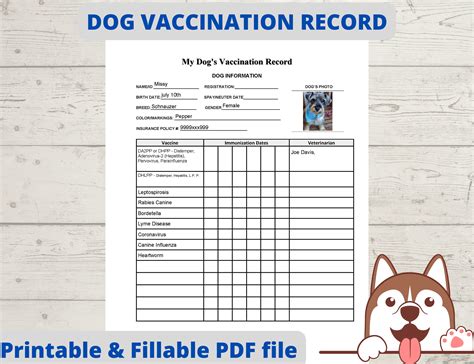 Puppy Vaccination Record Dog Health Record Dog Shot Record Etsy