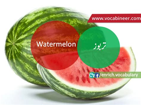 Gre Vocabulary English Vocabulary Fruits Name With Picture Fruits