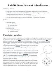 Lab Genetics And Inheritance Pdf Lab Genetics And