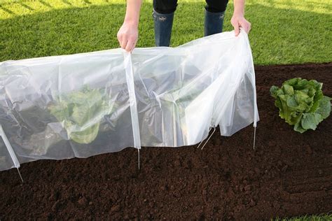 Haxnicks Easy Poly Tunnel Bloomling France