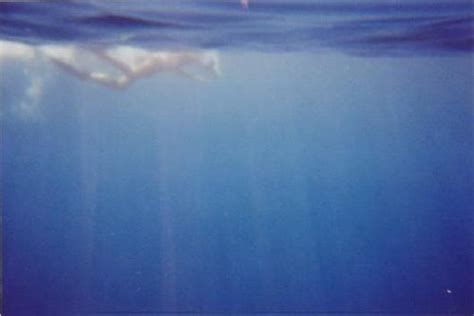 DISPOSABLE CAMERA UNDERWATER. DISPOSABLE CAMERA - BEST CANON CAMERA REVIEWS