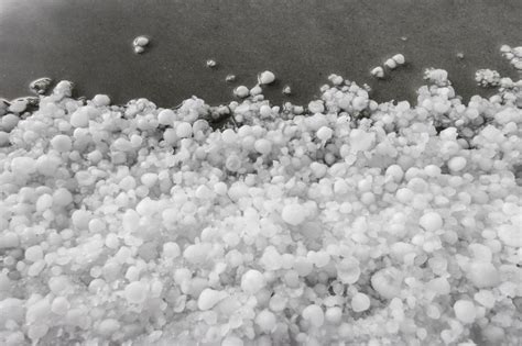 Granule Loss Considered Hail Damage Insurane Advisors Of St Louis