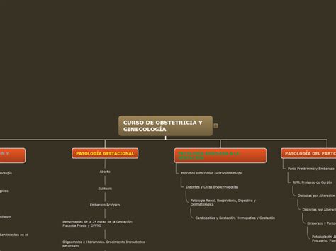 Curso De Obstetricia Y Ginecolog A Mind Map