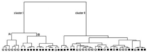 Dendrogram Representing Chemical Composition Similarity Relationships