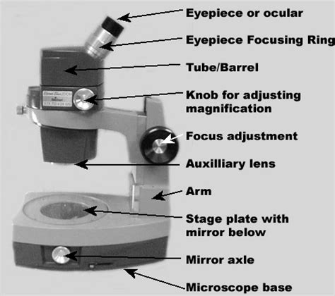 Parts Of Dissecting Microscope