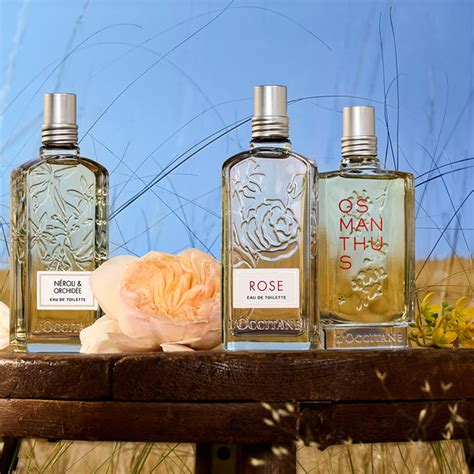 Natural Beauty From The South Of France | L'Occitane USA