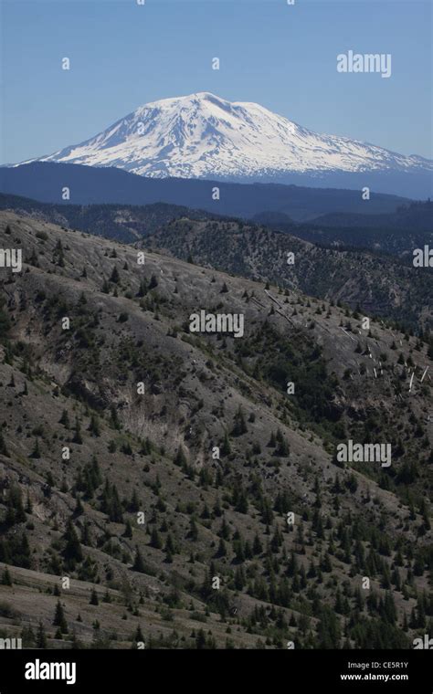 Mount Adams Volcano washington Stock Photo - Alamy