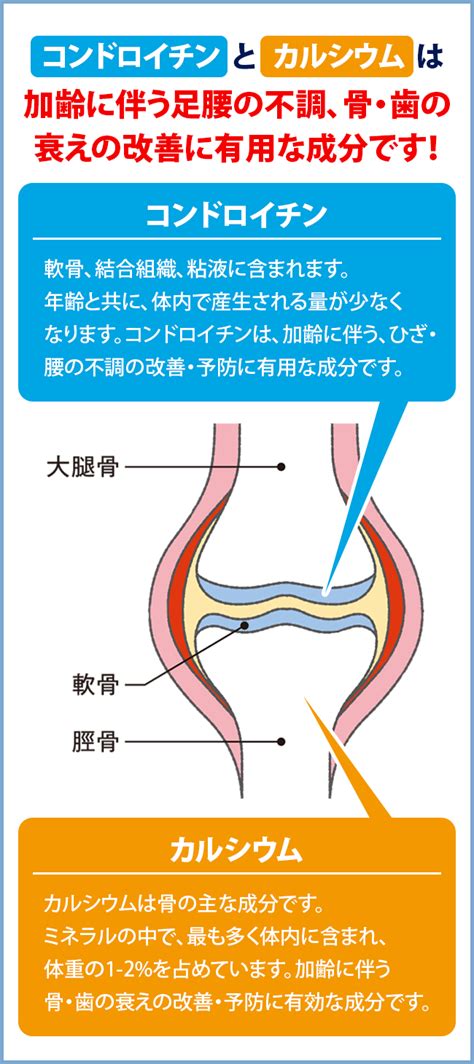 日々の疲れや加齢に伴うひざ・腰のお悩みに関するアンケート