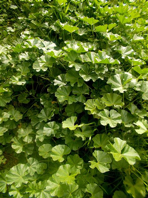 On Twitter Rt Fuck U All