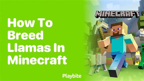 How To Breed Llamas In Minecraft Playbite