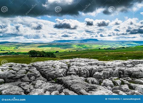 Limestone Pavement Yorkshire Dales National Park Stock Photo Image