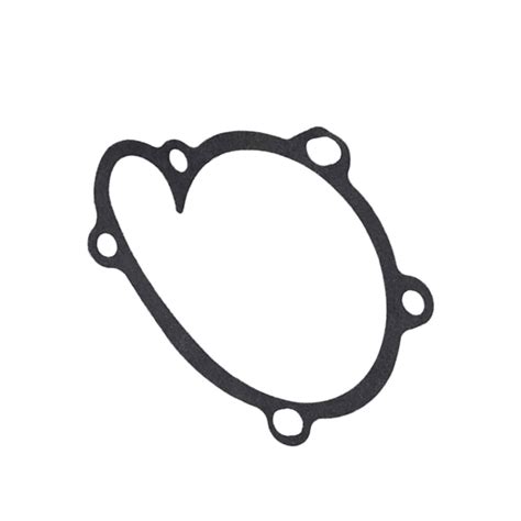 Amazon Jiayicity Water Pump Gasket