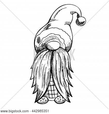 Hand Drawn Gnome Vector Photo Free Trial Bigstock