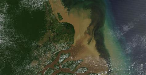 The Plume Of The Amazon Regains Its Tides International Year Of Basic