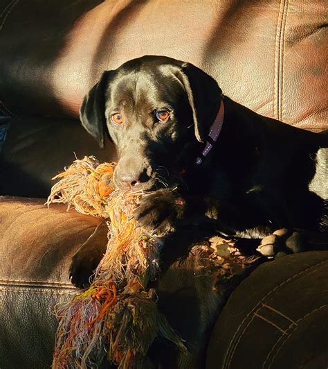 wright ranch house 7