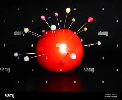 Los Pins Coloreados Son Penetrados Al Tomate Sobre Fondo Negro