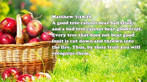 Matthew 7 18 20 YouTube