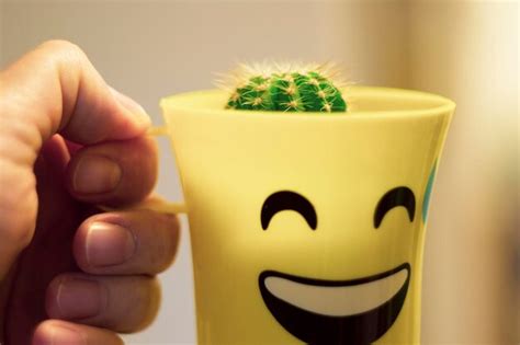 Premium Photo Cropped Hand Of Person Holding Potted Plant In Mug