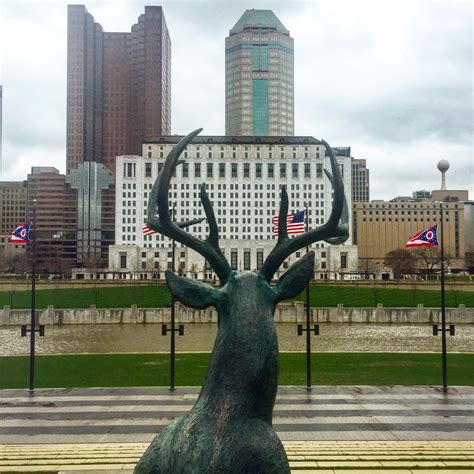 Ohventures The Deer Of The Scioto